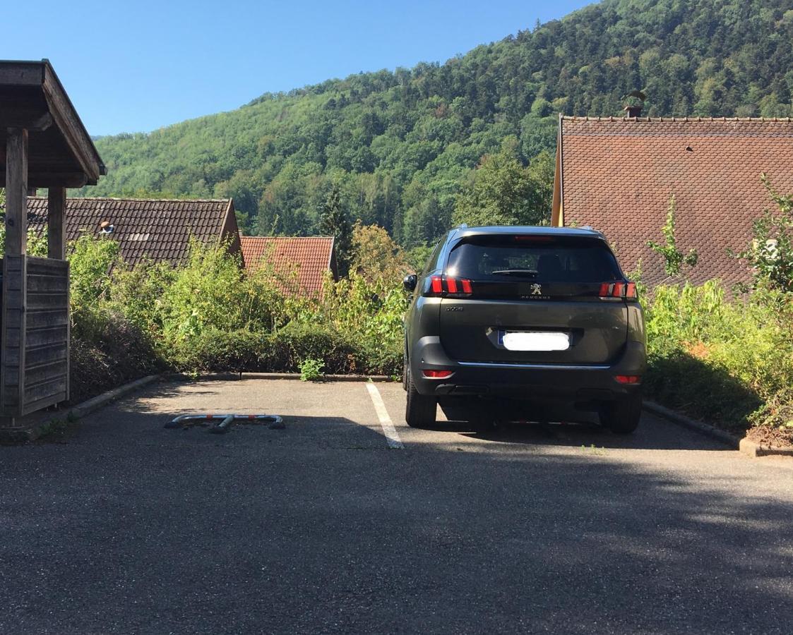 Ferienwohnung Le Panorama Kaysersberg-Vignoble Exterior foto