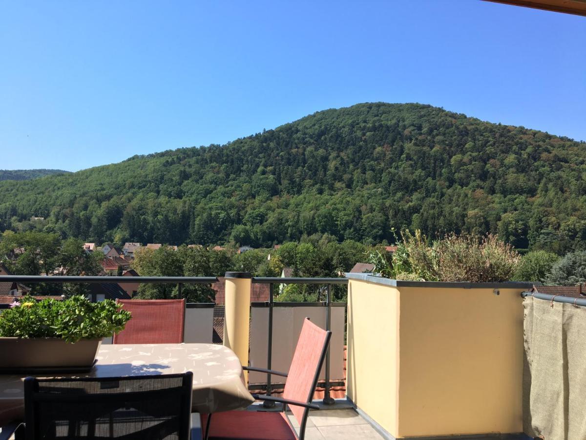 Ferienwohnung Le Panorama Kaysersberg-Vignoble Exterior foto